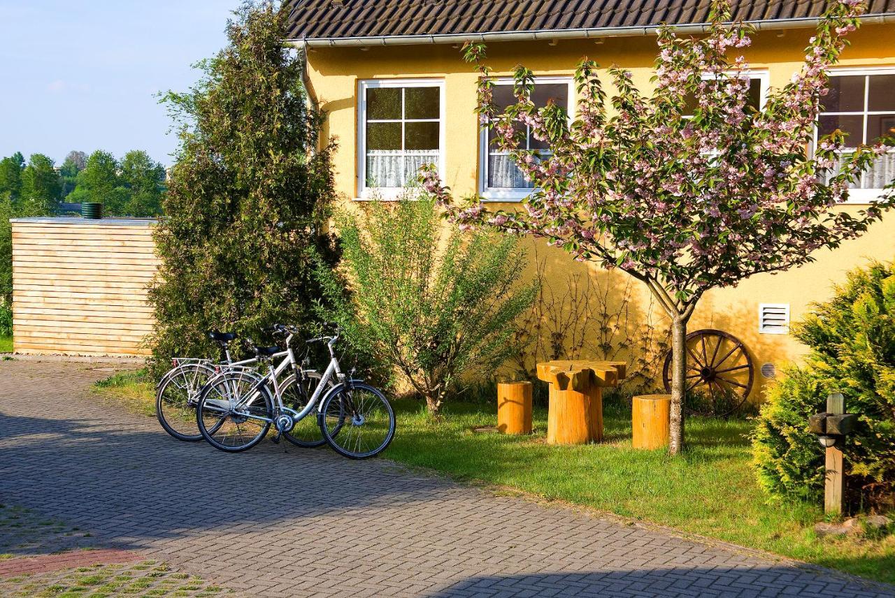 Hotel Am Mueritz-Nationalpark Варен Екстер'єр фото